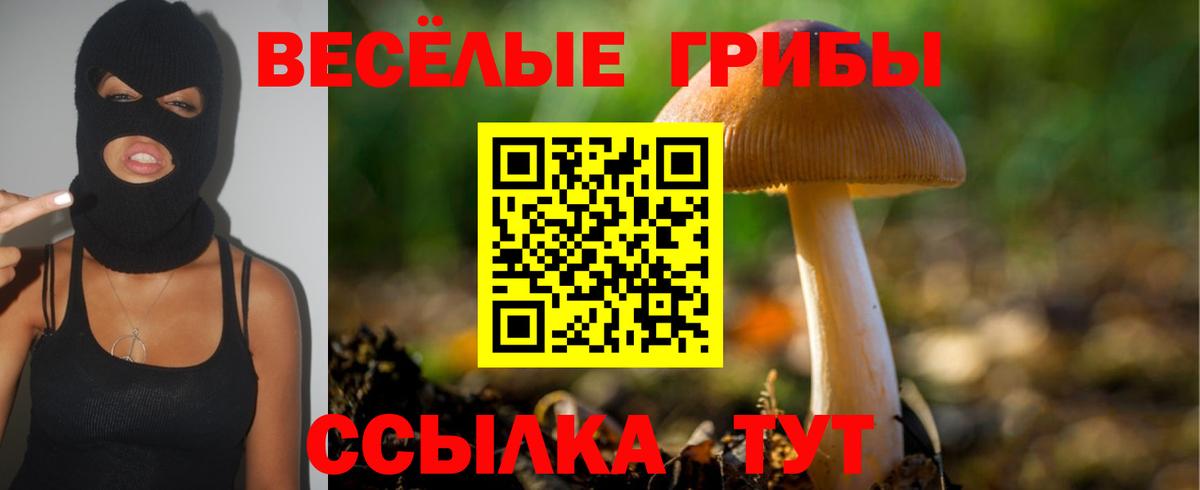Псилоцибиновые грибы Psilocybe  Псилоцибиновые грибы Magic Shrooms  Уварово  Вход с VPN 
